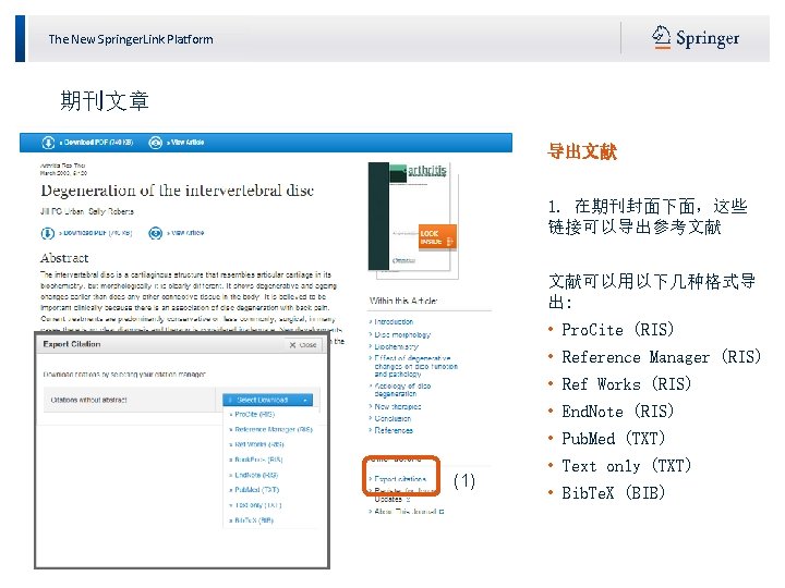 The New Springer. Link Platform 期刊文章 导出文献 1. 在期刊封面下面，这些 链接可以导出参考文献 文献可以用以下几种格式导 出: • Pro.