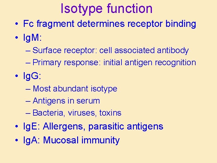 Isotype function • Fc fragment determines receptor binding • Ig. M: – Surface receptor: