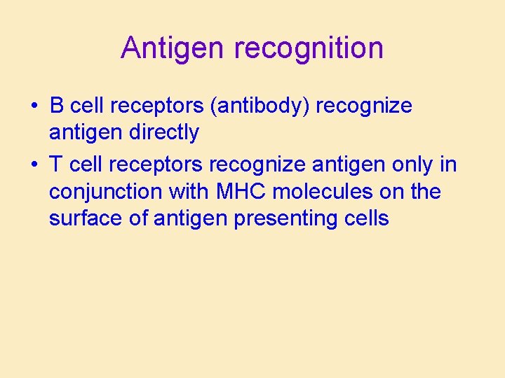 Antigen recognition • B cell receptors (antibody) recognize antigen directly • T cell receptors