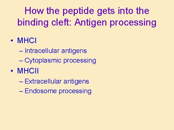 How the peptide gets into the binding cleft: Antigen processing • MHCI – Intracellular