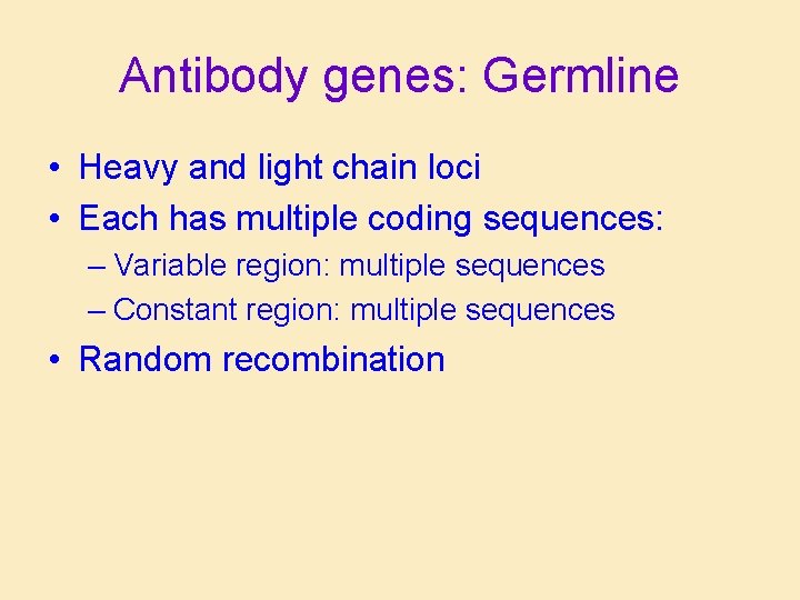 Antibody genes: Germline • Heavy and light chain loci • Each has multiple coding