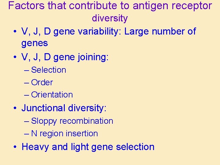 Factors that contribute to antigen receptor diversity • V, J, D gene variability: Large