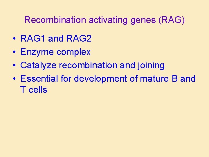 Recombination activating genes (RAG) • • RAG 1 and RAG 2 Enzyme complex Catalyze