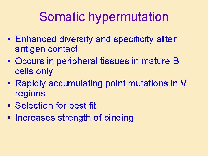 Somatic hypermutation • Enhanced diversity and specificity after antigen contact • Occurs in peripheral