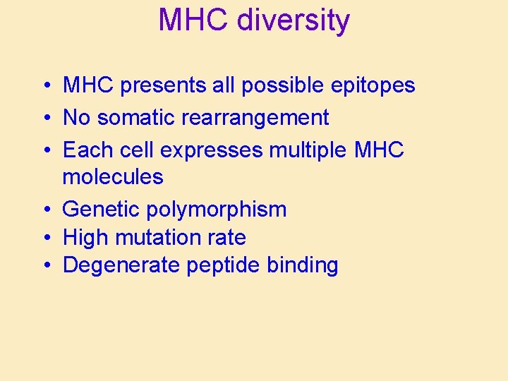 MHC diversity • MHC presents all possible epitopes • No somatic rearrangement • Each