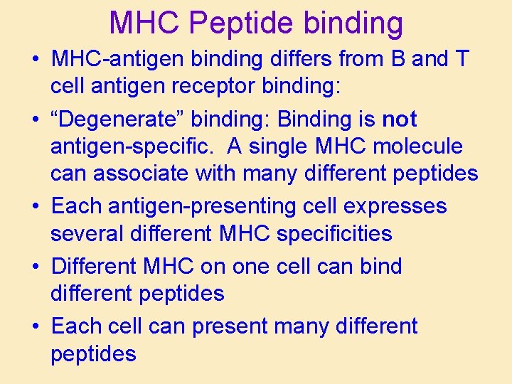 MHC Peptide binding • MHC-antigen binding differs from B and T cell antigen receptor