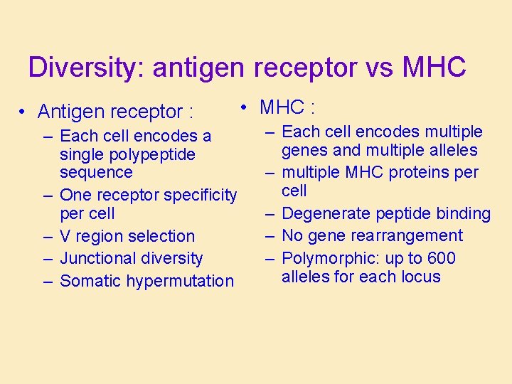 Diversity: antigen receptor vs MHC • Antigen receptor : – Each cell encodes a