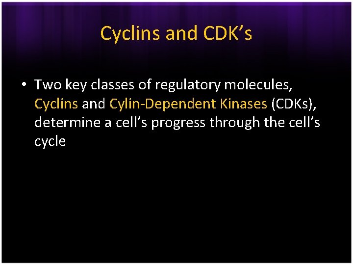 Cyclins and CDK’s • Two key classes of regulatory molecules, Cyclins and Cylin-Dependent Kinases