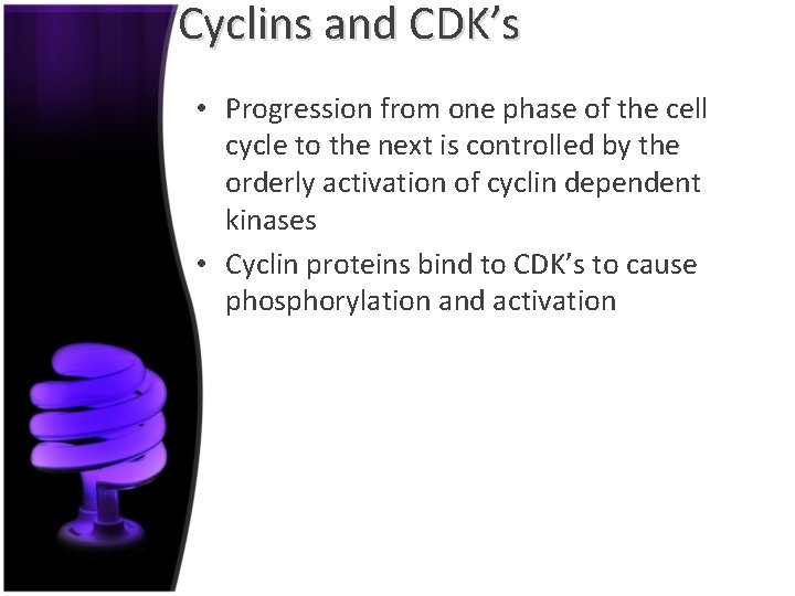 Cyclins and CDK’s • Progression from one phase of the cell cycle to the