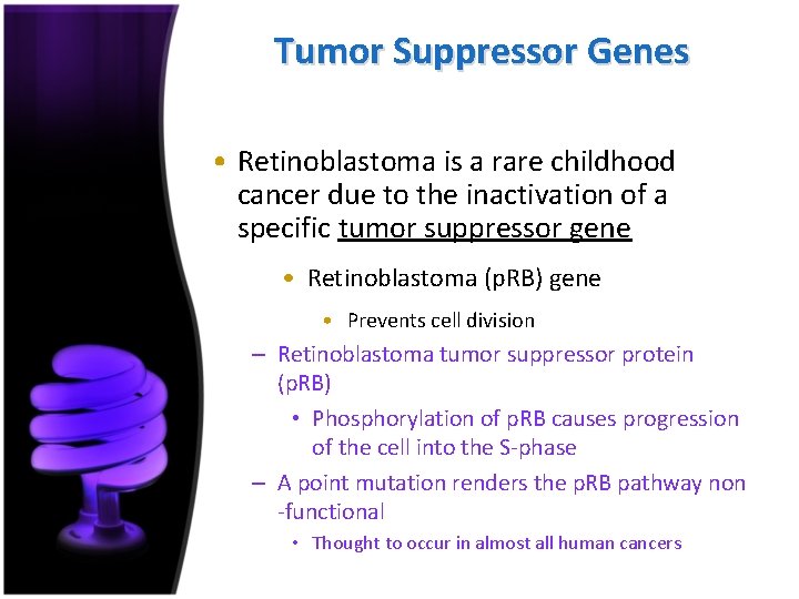 Tumor Suppressor Genes • Retinoblastoma is a rare childhood cancer due to the inactivation