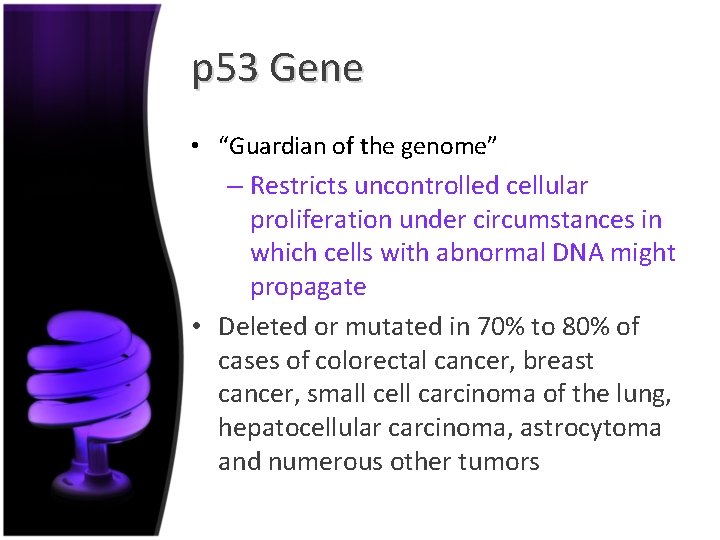 p 53 Gene • “Guardian of the genome” – Restricts uncontrolled cellular proliferation under