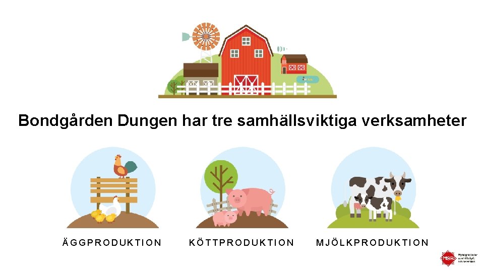 Bondgården Dungen har tre samhällsviktiga verksamheter ÄGGPRODUKTION KÖTTPRODUKTION MJÖLKPRODUKTION 