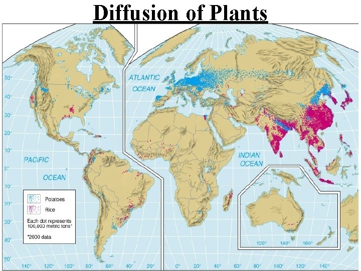 Diffusion of Plants 