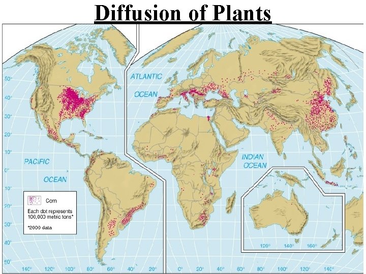 Diffusion of Plants 