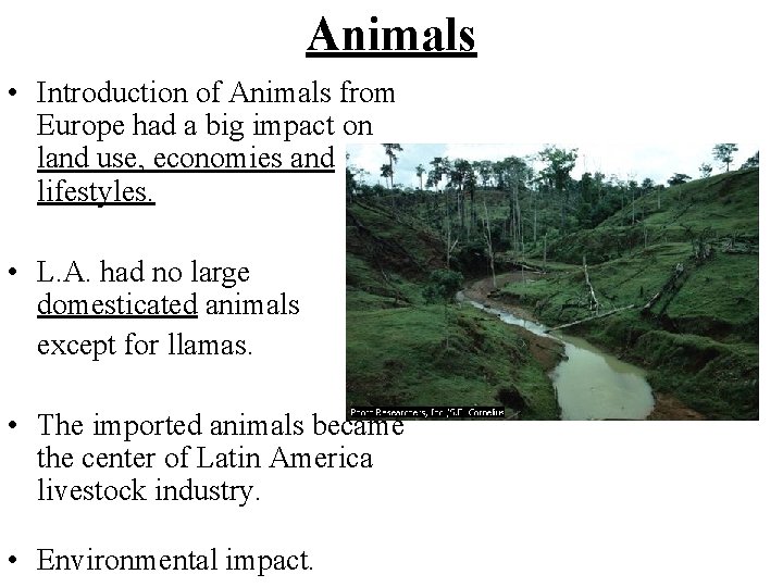 Animals • Introduction of Animals from Europe had a big impact on land use,