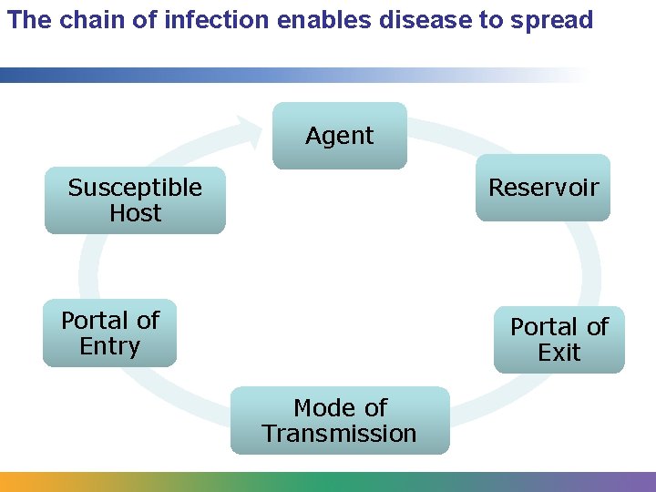 The chain of infection enables disease to spread Agent Reservoir Susceptible Host Portal of