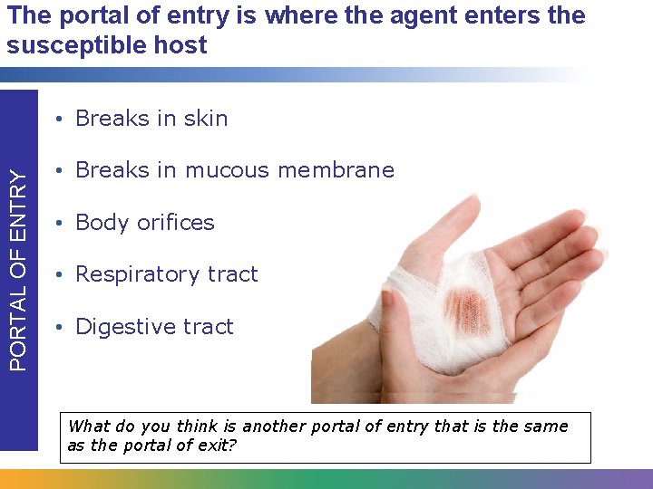 The portal of entry is where the agent enters the susceptible host PORTAL OF