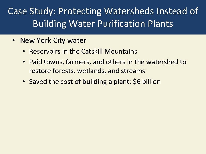 Case Study: Protecting Watersheds Instead of Building Water Purification Plants • New York City