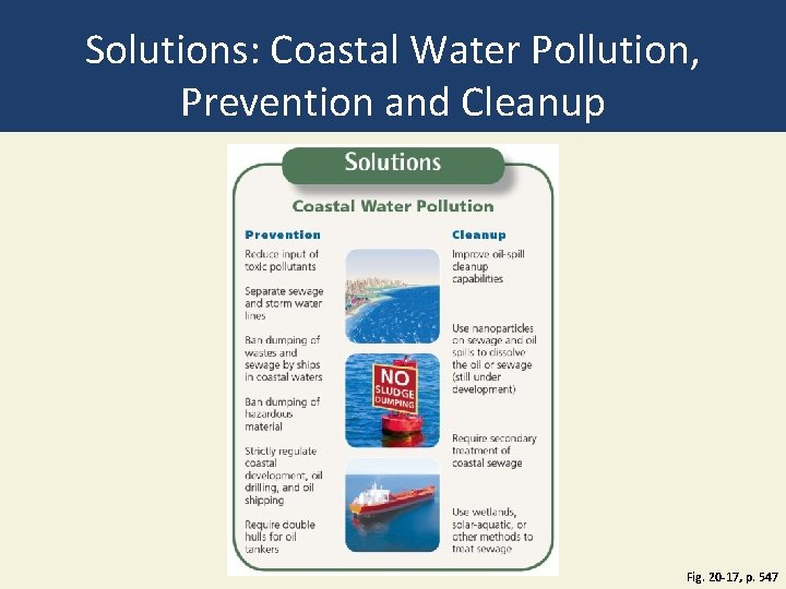 Solutions: Coastal Water Pollution, Prevention and Cleanup Fig. 20 -17, p. 547 