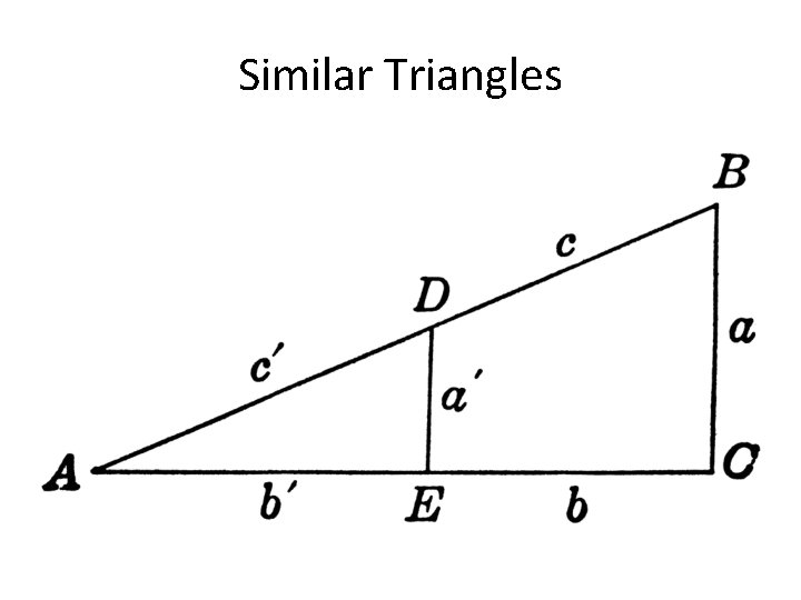 Similar Triangles 