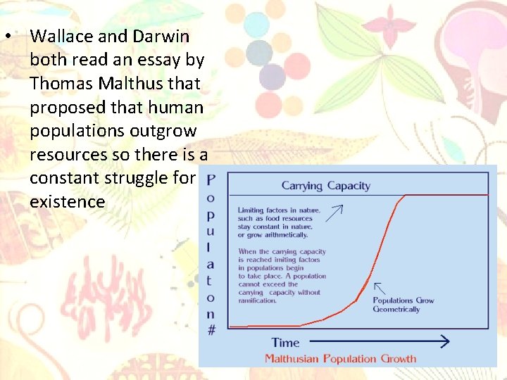  • Wallace and Darwin both read an essay by Thomas Malthus that proposed