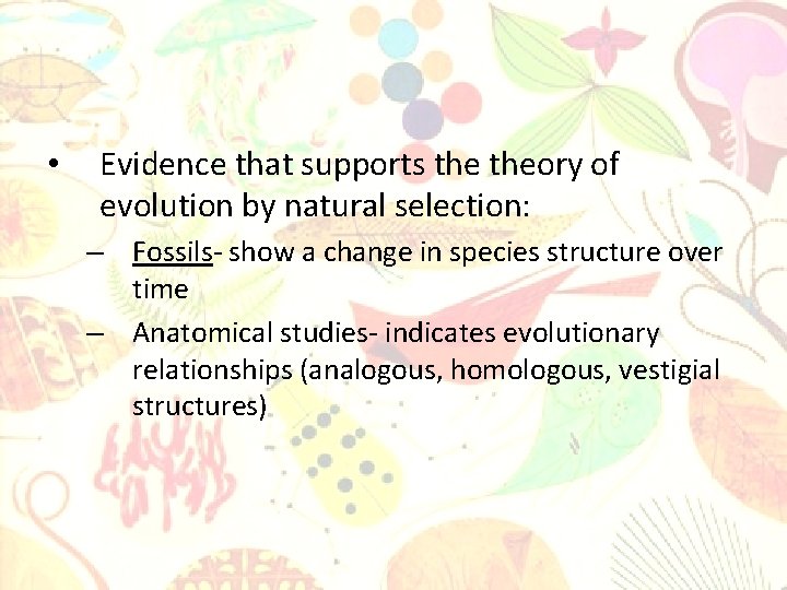  • Evidence that supports theory of evolution by natural selection: – Fossils- show