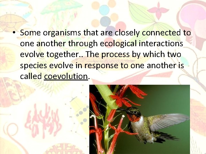  • Some organisms that are closely connected to one another through ecological interactions