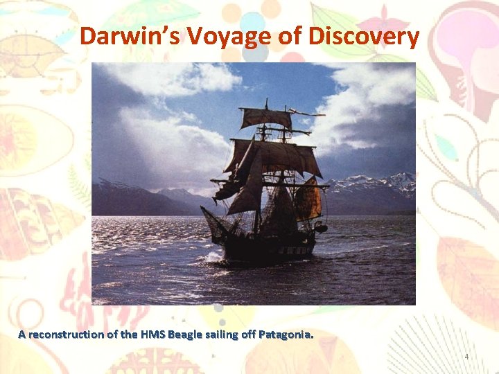 Darwin’s Voyage of Discovery A reconstruction of the HMS Beagle sailing off Patagonia. 4
