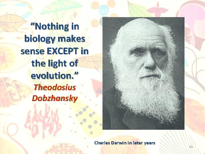Evolution “Nothing in biology makes sense EXCEPT in the light of evolution. ” Theodosius