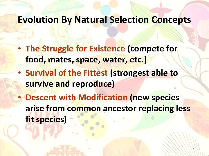 Evolution By Natural Selection Concepts • The Struggle for Existence (compete for food, mates,