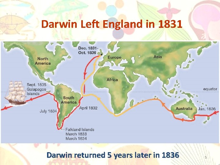 Darwin Left England in 1831 Darwin returned 5 years later in 1836 5 