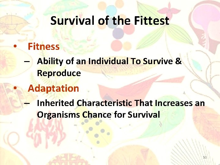 Survival of the Fittest • Fitness – Ability of an Individual To Survive &