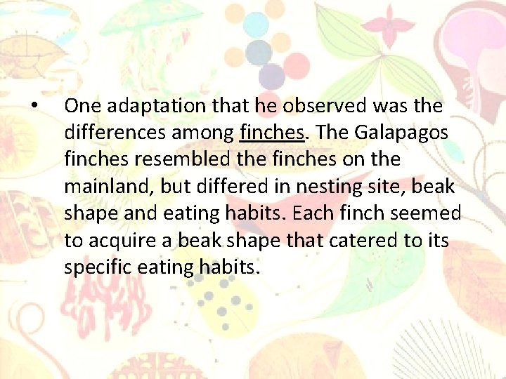  • One adaptation that he observed was the differences among finches. The Galapagos
