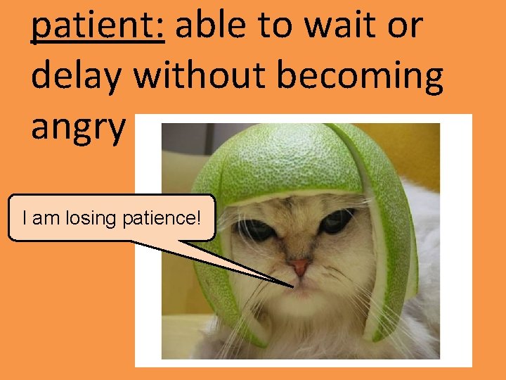 patient: able to wait or delay without becoming angry I am losing patience! 