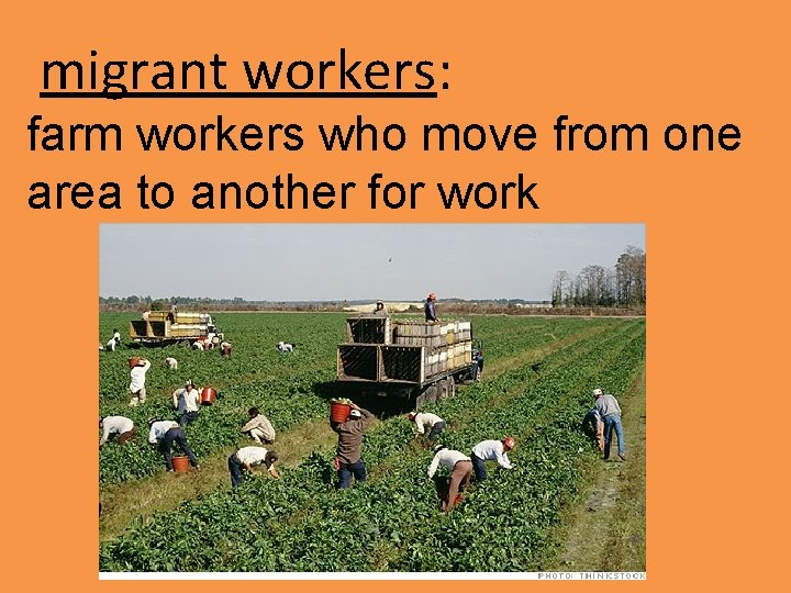 migrant workers: farm workers who move from one area to another for work 