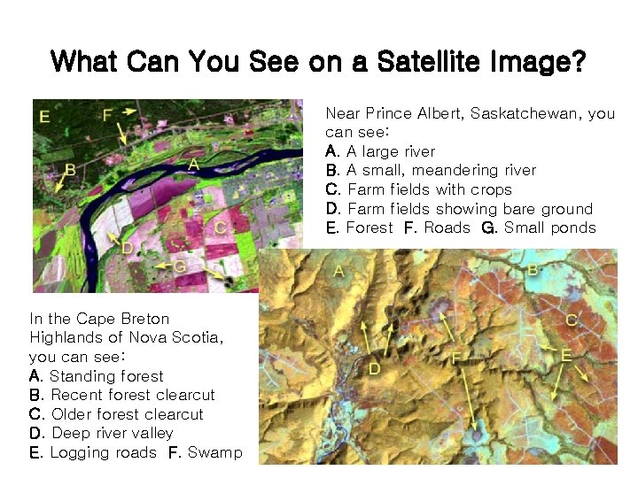 What Can You See on a Satellite Image? Near Prince Albert, Saskatchewan, you can
