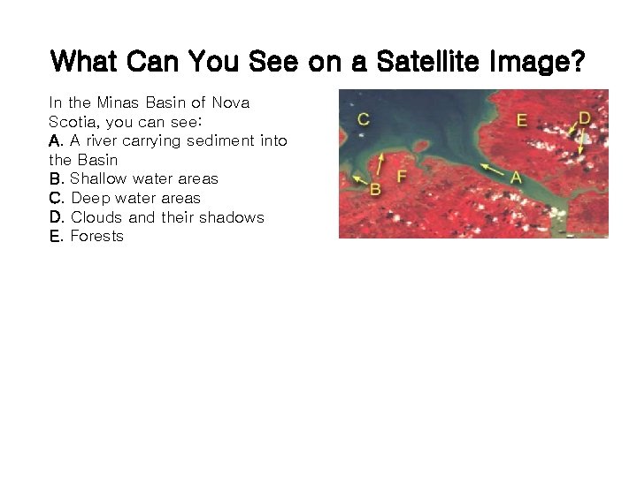 What Can You See on a Satellite Image? In the Minas Basin of Nova