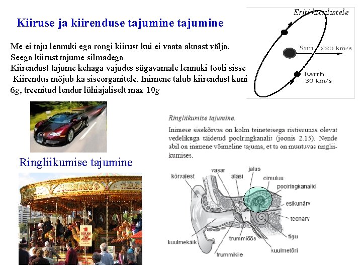 Kiiruse ja kiirenduse tajumine Me ei taju lennuki ega rongi kiirust kui ei vaata