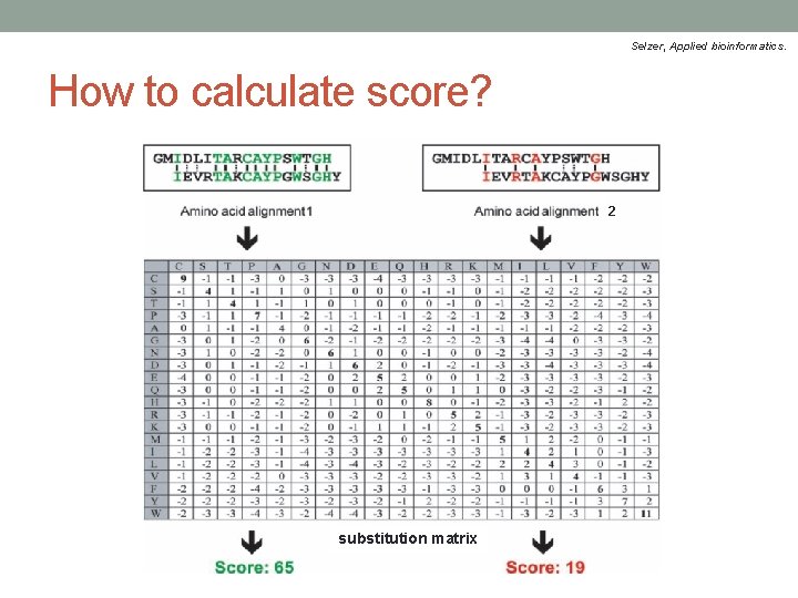 Selzer, Applied bioinformatics. How to calculate score? 2 substitution matrix 