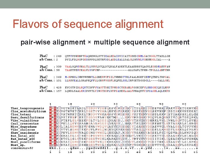 Flavors of sequence alignment pair-wise alignment × multiple sequence alignment 