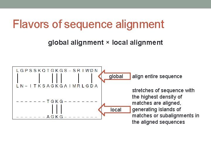 Flavors of sequence alignment global alignment × local alignment global local align entire sequence