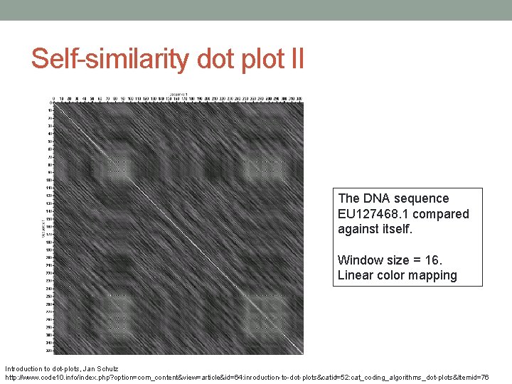 Self-similarity dot plot II The DNA sequence EU 127468. 1 compared against itself. Window
