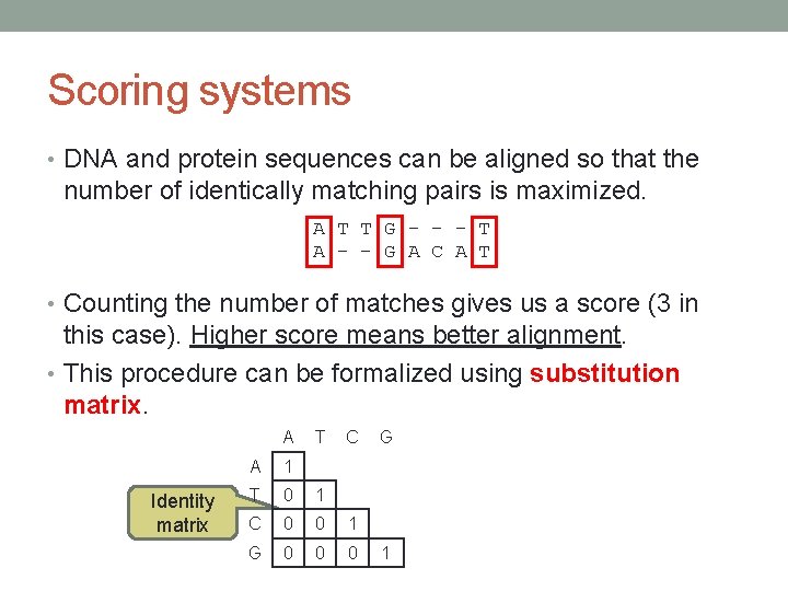 Scoring systems • DNA and protein sequences can be aligned so that the number
