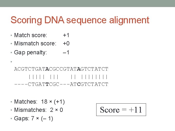 Scoring DNA sequence alignment • Match score: • Mismatch score: +1 +0 • Gap
