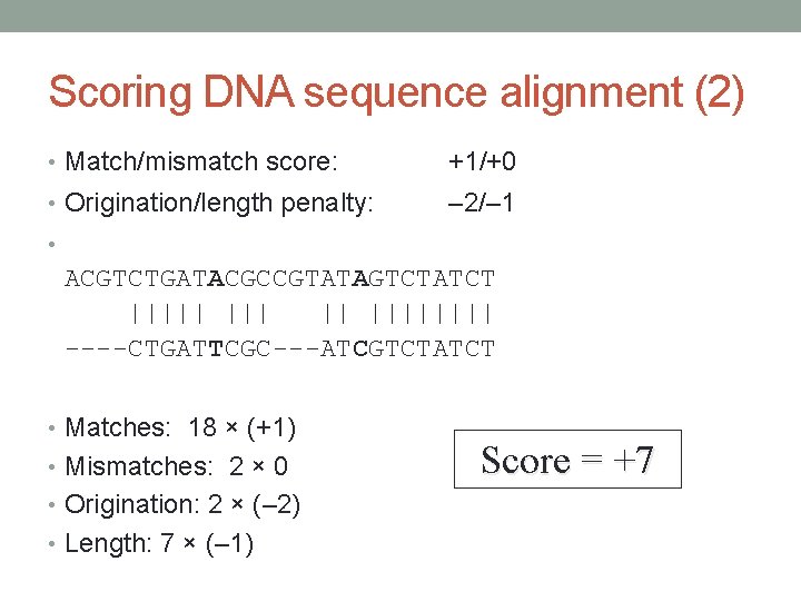 Scoring DNA sequence alignment (2) • Match/mismatch score: +1/+0 • Origination/length penalty: – 2/–