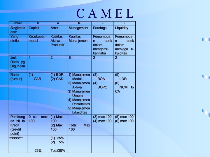 CAMEL 