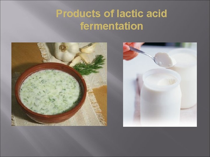 Products of lactic acid fermentation 