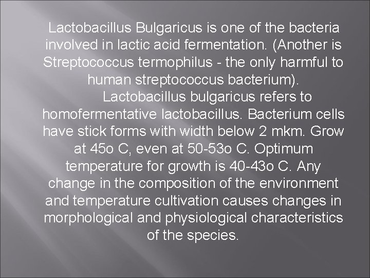 Lactobacillus Bulgaricus is one of the bacteria involved in lactic acid fermentation. (Another is