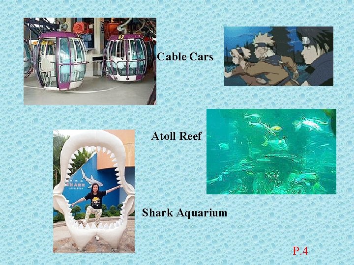Cable Cars Atoll Reef Shark Aquarium P. 4 