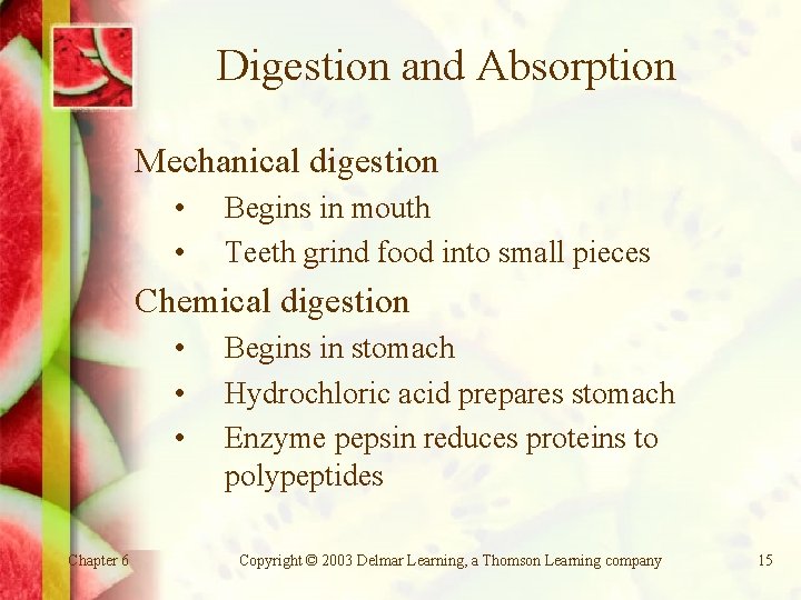 Digestion and Absorption Mechanical digestion • • Begins in mouth Teeth grind food into